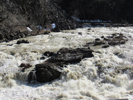 Normanskill Rapids Along The Rail Trail, April 2017