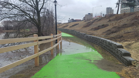 The Newly Refurbished Bike Path In Albany At The Beginning Of April (Photo: ABC)