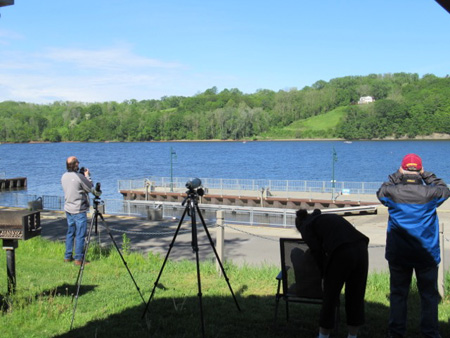 Watching For Bald Eagles Fishing The Hudson River At The Schodack Island Boat Launch