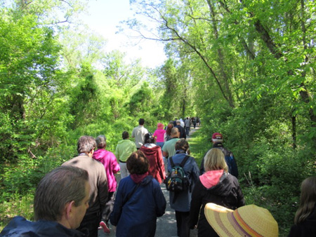 A Hiking Crowd Hoping To Spot Some Wild Peregrine Falcons