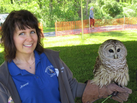 Barred Owl Which Kept Hooing Uneasily At The Barn Owl Nearby, With Handler