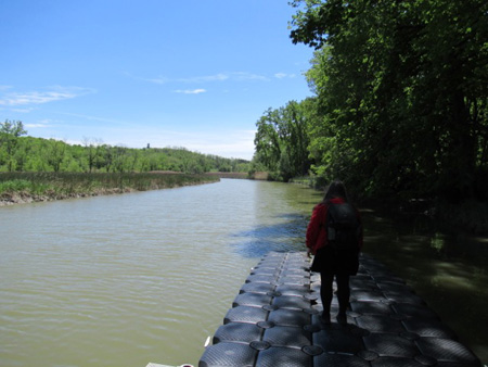 The Wife Inspects Schodack Creek At High Tide
