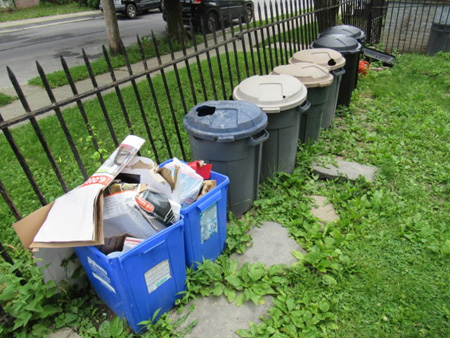 Day Before Trash Day In My Neighborhood, Holes In Can Lids Are Made By Squirrels