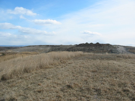 “Capped” Part Of The Albany Rapp Road Dump Before More Trash Was Piled On Top Of It