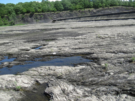 The Shale Flats
