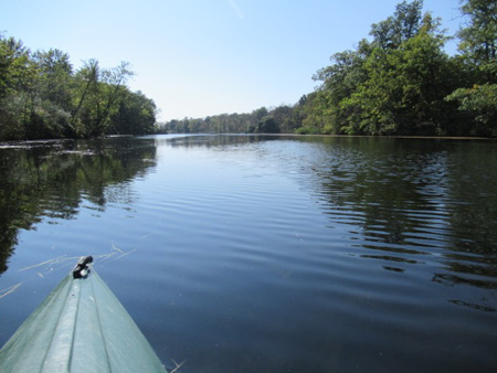 Heading Back, Note The Oil Slick On The Water Is Thicker On The Left