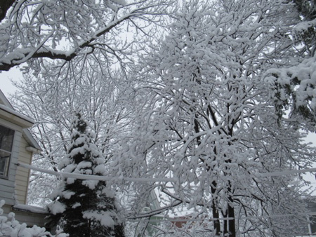 The Wet Snow Clung To The Trees