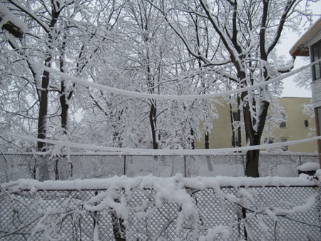 Backyard Clotheslines
