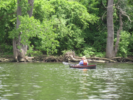 The Wife Along The East Bank Of The Hudson Opposite Albany