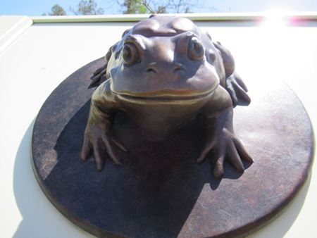 Brass Frog, Pine Bush Discovery Center, Albany