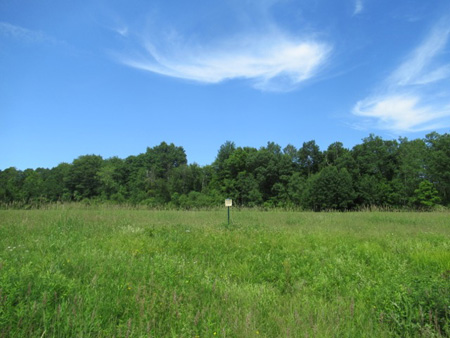 Property Owned By The City Of Albany In The Town Of Coeymans