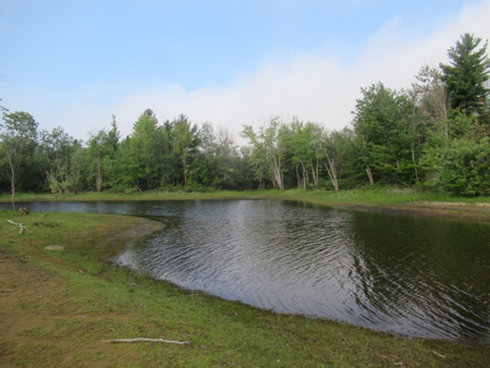 Lake On An Island, Great Sacandaga