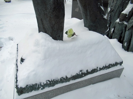 A Single Yellow Rose At Martin’s Feet