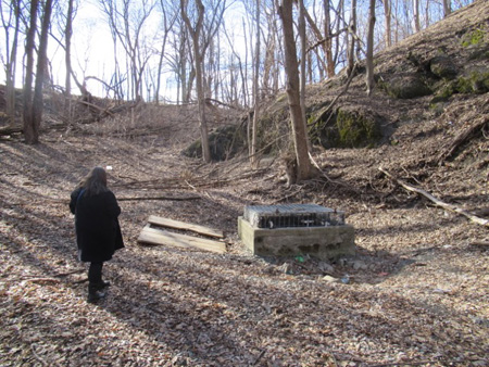 The Stinking Aeration Grate In The Ravine In Lincoln Park