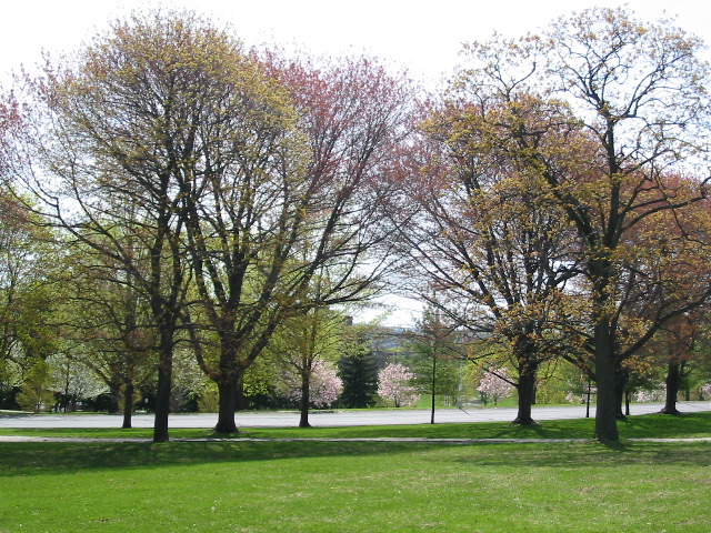 ML King Boulevard
