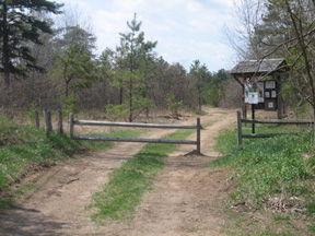 The Trailhead At The Dead End Of Pitch Pine Road