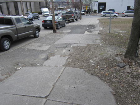 Carefully Neglected Sidewalk On Morton Avenue Across From The Albany Police Compound