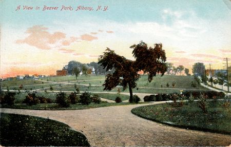 Postcard "A View In Beaver Park, Albany, N.Y." (click on picture for details)