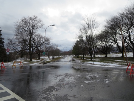 Lincoln Park In Dismal January