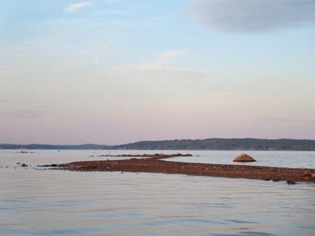 The Remains Of Deer Island, Once Covered With Trees Now Destroyed By High Water