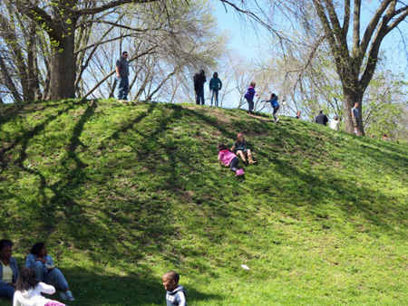 Kids Rolling Down A Hill In Washington Park