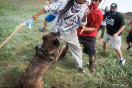 Security Guards Use Dogs To Assault Lakota Defenders Of Their Land At Standing Rock South Dakota Last Month