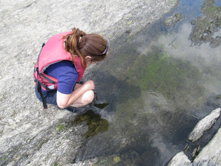Sandra Watches Fish In A Tidal Pool