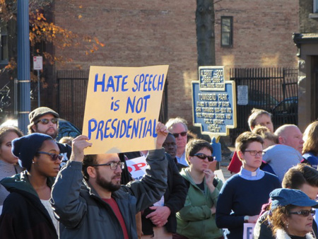 Patriotic Americans Demonstrate In Albany NY, November 2016