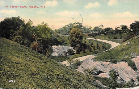 Postcard Marked 1911 Looking Down Into The Ravine In Lincoln Park (Then Called Beaver Park)