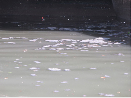 Mats Of Decayed Human Waste Floating Out Of The Big C Pipe Into The Hudson River, The Mouth Of The Beaverkill