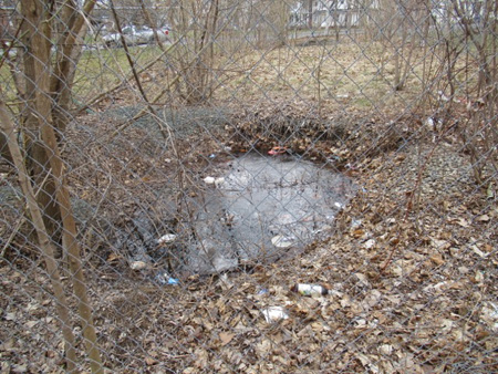 Sinkhole #2 Next To The Ravine