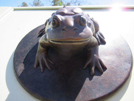 Brass Frog, Pine Bush Discovery Center, Albany