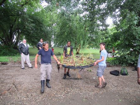 Carefully Carrying A Baby Island, Deputy Water Commissioner Bill Simcoe At Far Left Watches