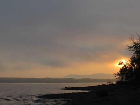 Morning Fog Descending