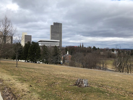 "Is Pretty Even When It’s Gloomy!” March 2019