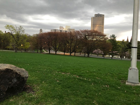 “My Park! April 2019