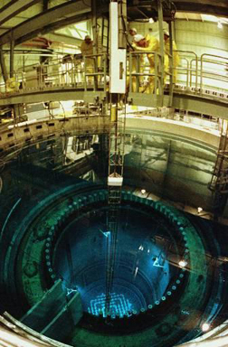 Yankee Nuke Reactor Core