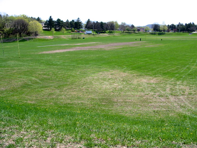 Playing Fields